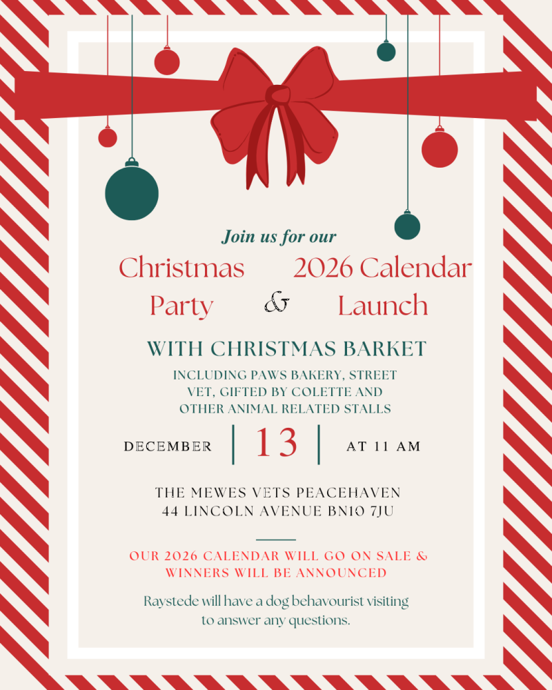 The Mewes Vets' Christmas Barket (a market for pets...)